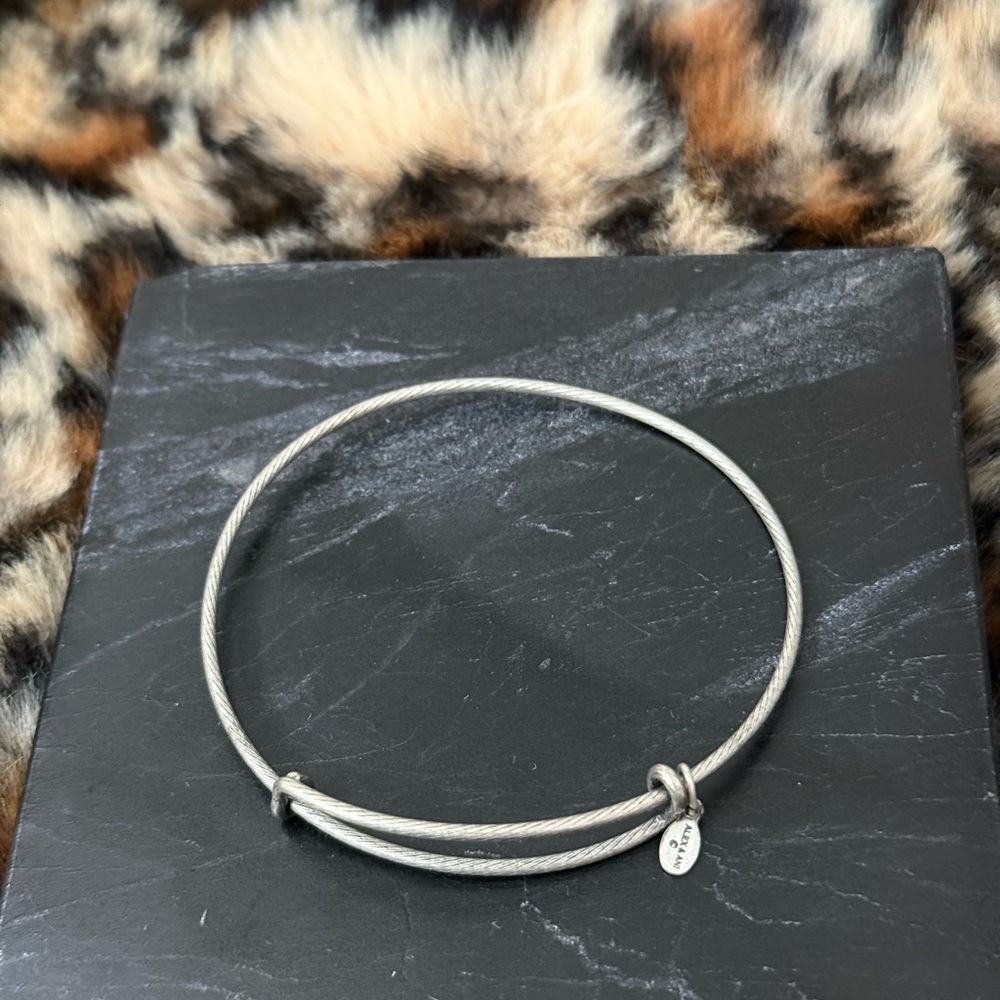 Alex & Ani Charm Bracelets Lot of 8 - 2012 2013 2015 - Picture 11 of 16